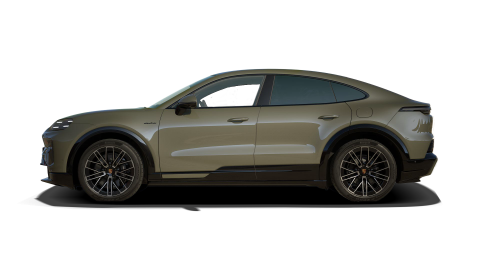 Cayenne S Coupé Electric_Monteverde Met